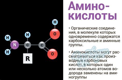 Пептидний комплекс ПРО № 10 ᐉ Для вен ᐉ Peptides