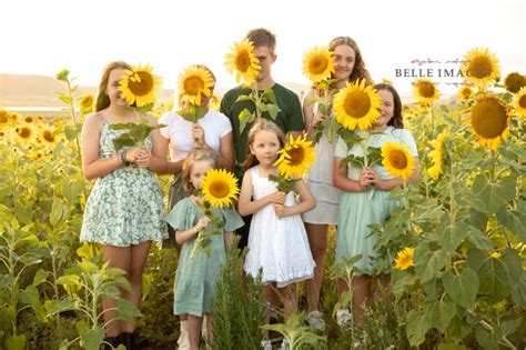 Sunflower Sessions - Belle Images