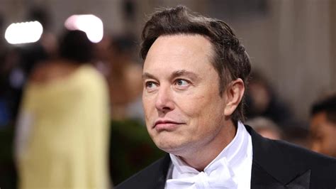 Lallarme Di Elon Musk Lumanit A Rischio Emilia