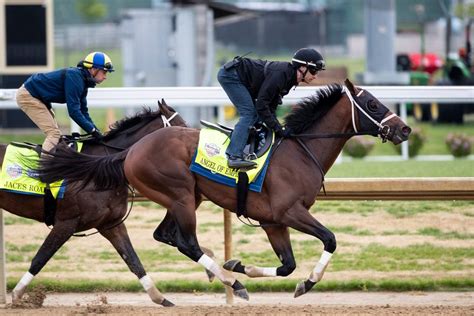 Kentucky Derby 2023: Horses odds, predictions & posts | Lexington ...