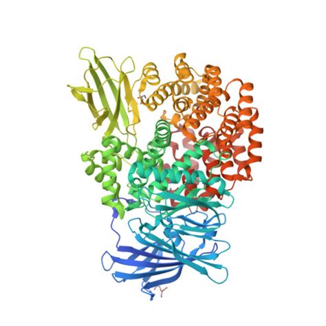 Rcsb Pdb Hpt Crystal Structure Of E Coli Pepn Aminopeptidase N In