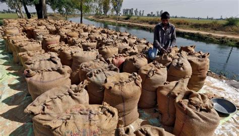 India S Rice Exports Set To Fall 25 As Levy Make Shipments Expensive