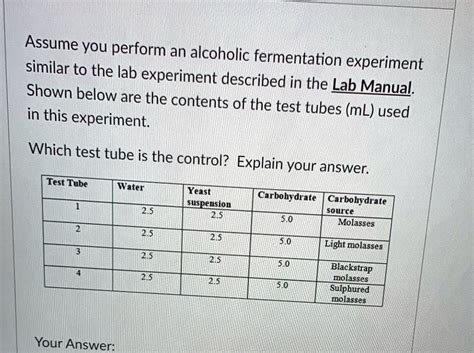 Yeast Fermentation Lab Report