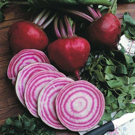 Beetroot Chioggia Pink Globe Beta Vulgaris Hardy Annual A Striking