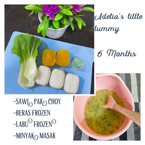 13 Menu Mudah Untuk Bayi 6 Bulan Tanpa Guna Garam And Gula