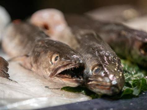 La rebaixa de lIVA dels aliments es prorrogarà més enllà del juny L