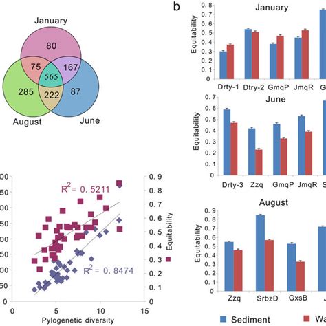 Temporal Changes In Microbial Diversity A Microbial Community