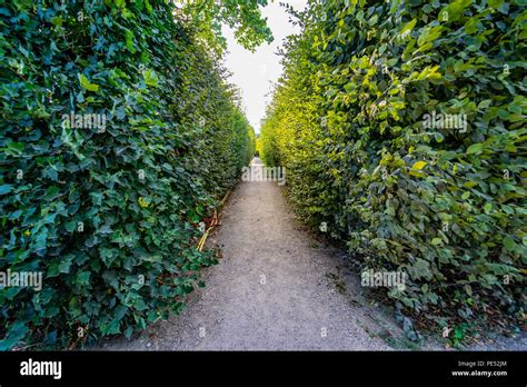 Park of 18th century imperial austrian schönbrunn palace in vienna