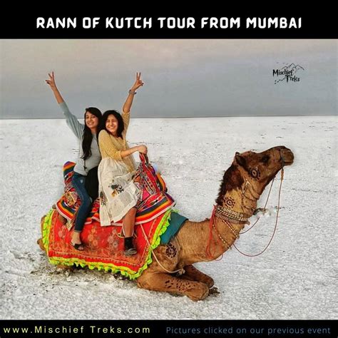 Rann Of Kutch Tour From Mumbai Rann Utsav