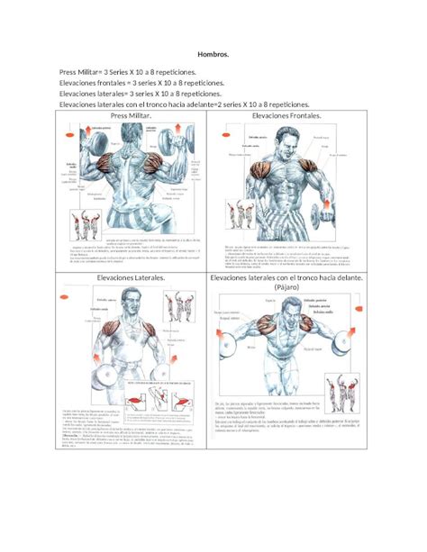 DOCX Rutina Hombros Biceps Pectorales Triceps DOKUMEN TIPS