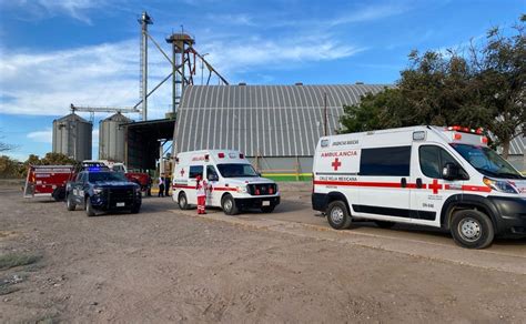 Fueron 3 Hombres Los Atacados Por Abejas En Bodega De Angostura