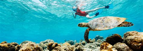 10 Great Destinations for Snorkeling - Monster Reservations Group ...