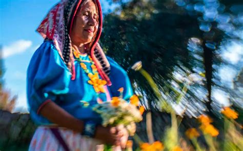 Arte Huichol La Cosmovisi N Del Pueblo Wix Rika M Xico Ruta M Gica