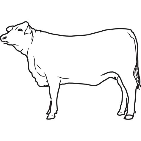 Premium Vector Hand Sketched Hand Drawn Red Brangus Cow Vector