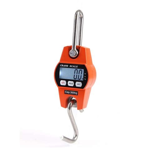 Stainless Steel Digital Hanging Weighing Scale Rs Piece Id