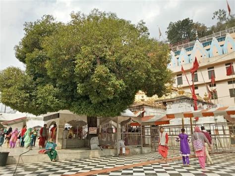 ज्वाला देवी मंदिर कांगड़ा Jwala Devi Mandir Ki Yatra Ki Jankari In Hindi