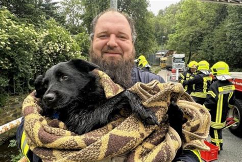 Tierrettung In Annaberg Buchholz Feuerwehr Rettet Hilflosen Hund