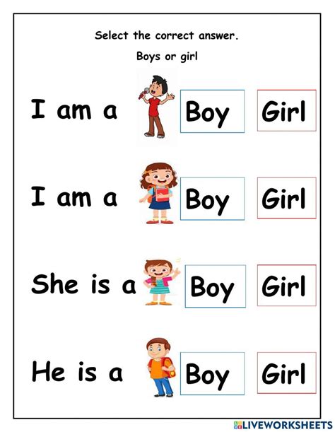 boys  girl worksheet boy  girl worksheet genders work sheet