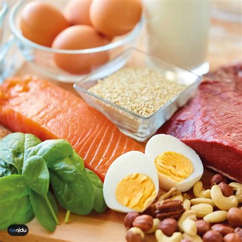 Protein Tozu Yararları Zararları ve Doğru Kullanım İpuçları