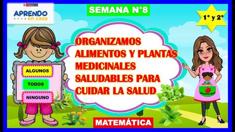 Organizamos Alimentos Y Plantas Medicinales Para Cuidar La Salud De