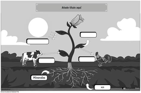 P Ster Educativo De Fotos Ntesis Storyboard Por Es Examples