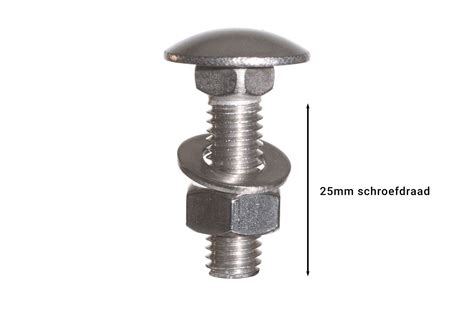 Carriage Bolts Stainless Steel M X Mm Quick Delivery