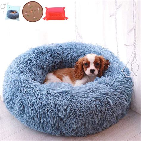 Best Waterproof Dog Beds: 2020 - Luxury Dog Gift