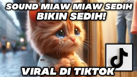 Miaw Miaw Miaw Miaw Sound Sad Viral Tiktok YouTube