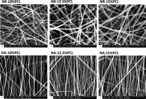 Scanning electron microscopy images of nanofiber scaffolds according to ... 