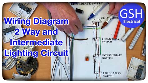 Electric Cable Lighting Circuit Shelly Lighting