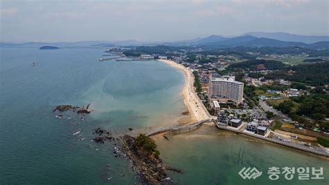 보령시 올 여름철 대천해수욕장 7월 1일 개장