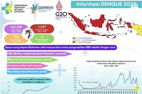 Kemenkes Catat 710 Kasus Dengue Mengawali 2023 ANTARA News Kupang