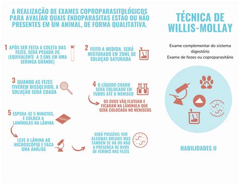 TÉCNICA DE WILLIS MOLLAY Parasitologia