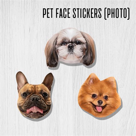 Pet face stickers (photo) • Decal Bar