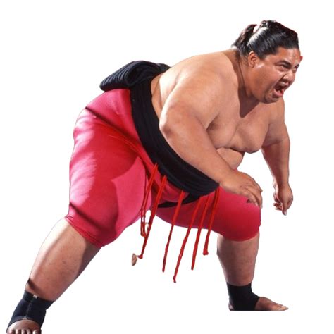 YOKOZUNA by wildcharmander92 on DeviantArt