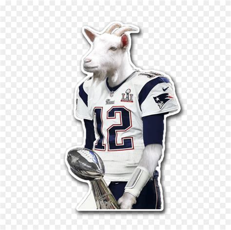 Tom Brady Goat Tom Brady Png Flyclipart