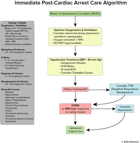 Acls algorithms review acute coronary syndromes algorithm – Artofit