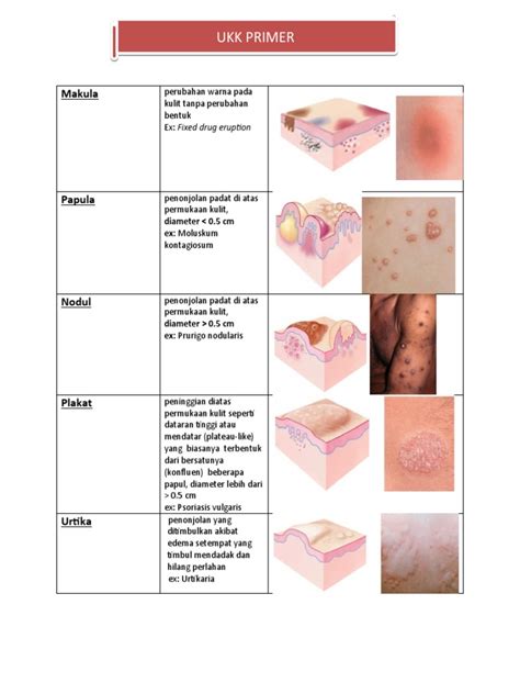 Ukk Kulit Pdf