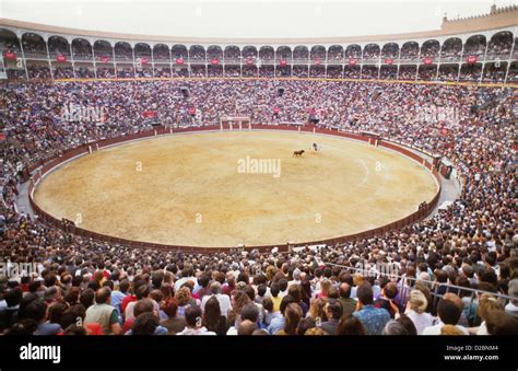 Matador Spain Bull High Resolution Stock Photography And Images Alamy