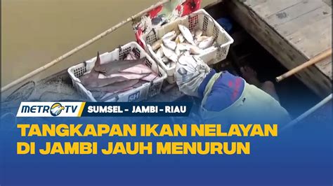 Cuaca Ekstrem Tangkapan Ikan Nelayan Di Jambi Jauh Menurun YouTube