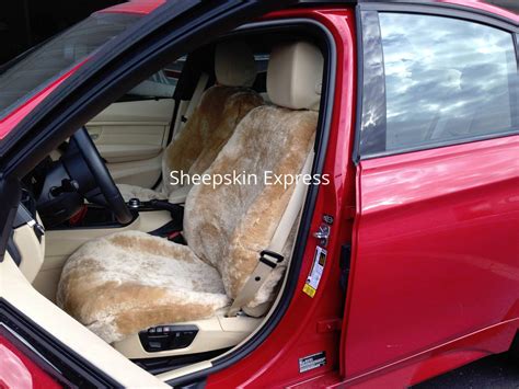 Sheepskin Seat Cover Pictures