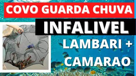 Covo Guarda Chuva Para Pesca De Camar O Lambari E Siri Armadilha