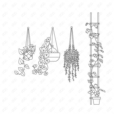 Cad And Vector Hanging Plants Set Front Side View