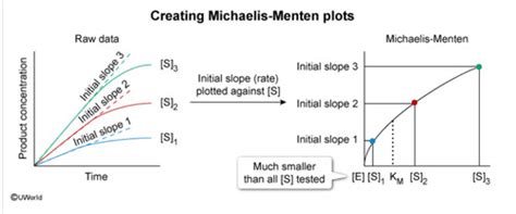 Uworld Bio Biochem Flashcards Quizlet