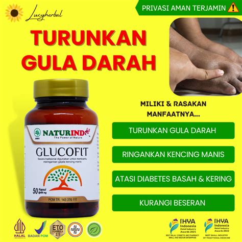 Jual Obat Gula Darah Tinggi Gula Kering Gula Basah Diabetes Herbal