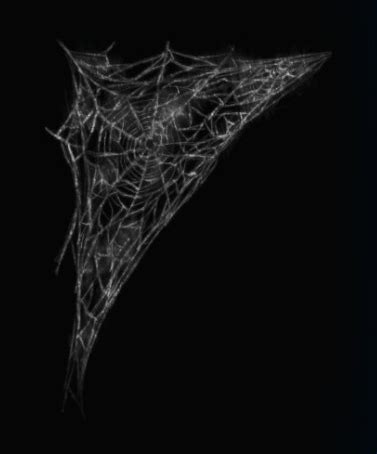 Image - Triangle Spider Web.png - DC Universe Online Wiki