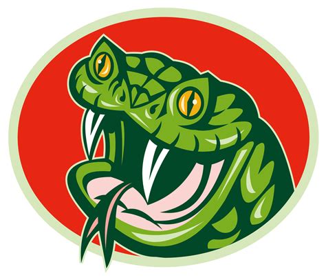 Viper Snake Head Clip Art