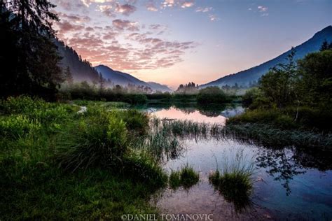 All You Need To Know To Visit Zelenci Nature Reserve In Slovenia