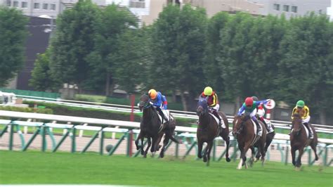 2歳未勝利 1800m（芝 『ｷﾝｸﾞｽﾞﾚｲﾝ』 Green Grass March 一般競走（第3場）本馬場入場曲 ♯札幌競馬場 ＃ｷﾝｸﾞｽﾞﾚｲﾝ ＃本馬場入場曲 Youtube