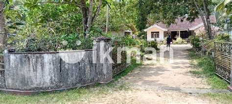 P Land With Old House Negombo Ikman